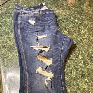 Lane Bryant Blue Distressed Skinny Jeans